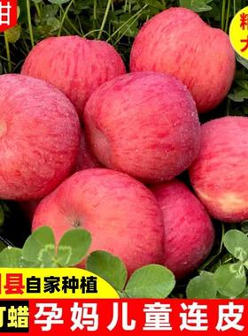 陕西正宗洛川红富士苹果水果应季甜脆多汁整箱10斤包邮新鲜平萍果