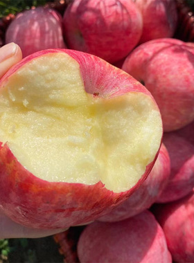 正宗洛川红富士苹果陕西当季新鲜水果丑苹果整箱10斤脆甜多汁包邮