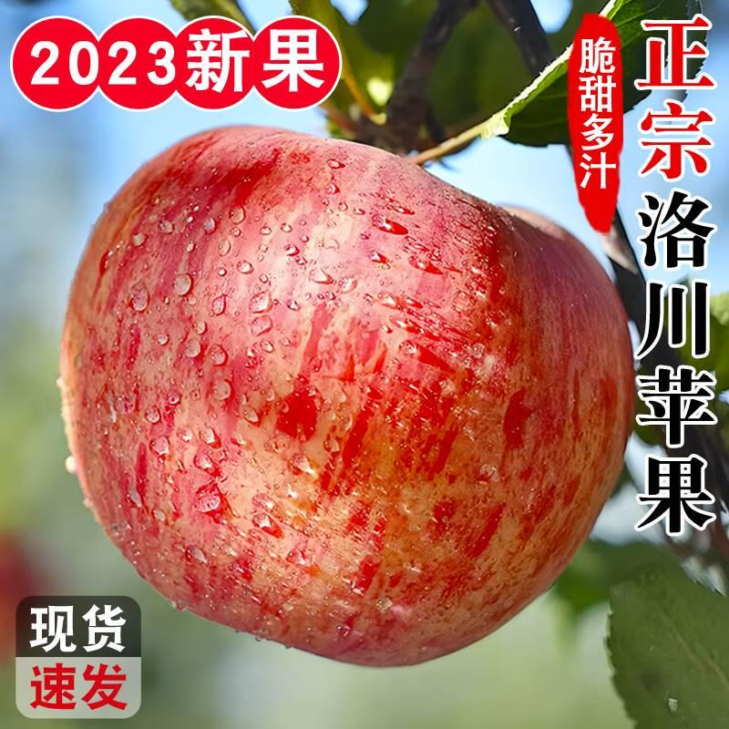 陕西洛川正宗红富士苹果新鲜10斤顺丰包邮当季水果脆甜多汁冰糖心