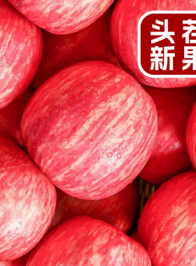 正宗陕西洛川苹果水果新鲜当季整箱红富士冰糖心脆甜现摘包邮10斤