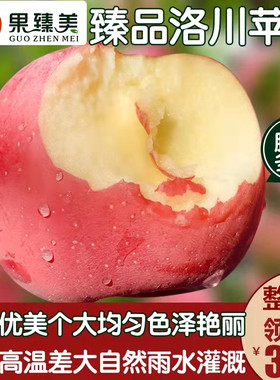 陕西苹果水果新鲜应当季脆甜洛川红富士10斤冰糖心丑蘋果整箱包邮
