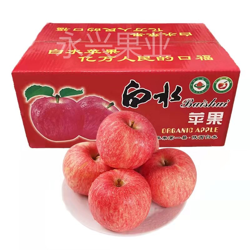 水果礼盒陕西白水红富士苹果脆甜多汁当季孕妇吃新鲜苹果10斤包邮