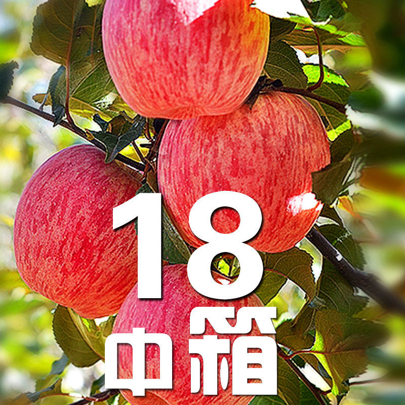 【纯好果种】陕西官方洛川苹果水果新鲜整箱10斤红富士脆甜心包邮