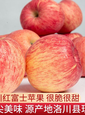 洛川苹果红富士陕西特产10斤整箱新鲜水果当季脆甜包邮整箱不打蜡