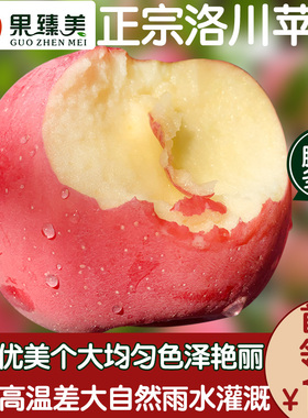 正宗洛川苹果水果新鲜陕西红富士脆甜应当季10斤整箱冰糖心丑包邮