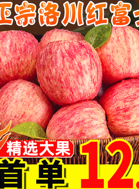 陕西正宗洛川红富士苹果斤水果新鲜当季整箱脆甜延安冰糖心包邮10
