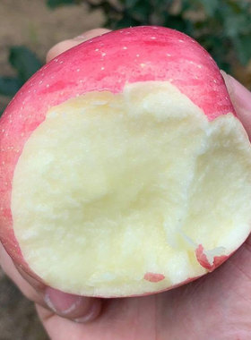 富士苹果新鲜水果条红片红陕西洛川农家新货脆甜整箱10斤孕妇包邮
