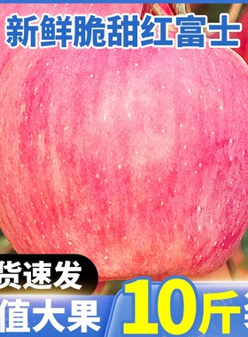 苹果水果新鲜苹果整箱当季10斤陕西正宗红富士冰糖心脆甜包邮平果