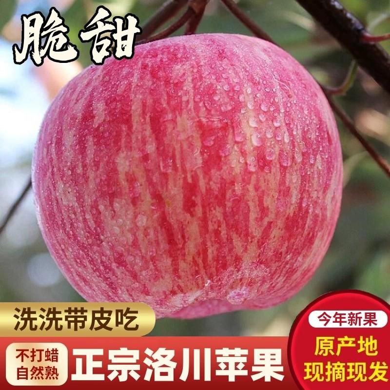 正宗陕西洛川苹果红富士10斤新鲜当季孕妇水果脆甜陕西一级果包邮