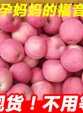 陕西洛川红富士脆甜10斤整箱当季现摘新鲜有机丑苹果孕妇水果包邮