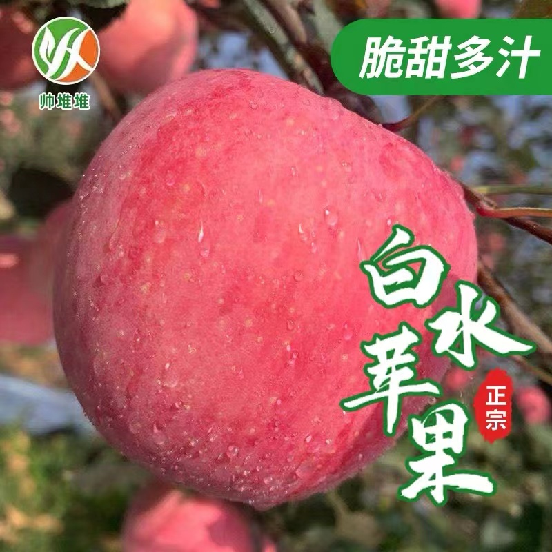 苹果水果新鲜陕西白水红富士苹果脆甜当季3斤5斤10包邮2022新果
