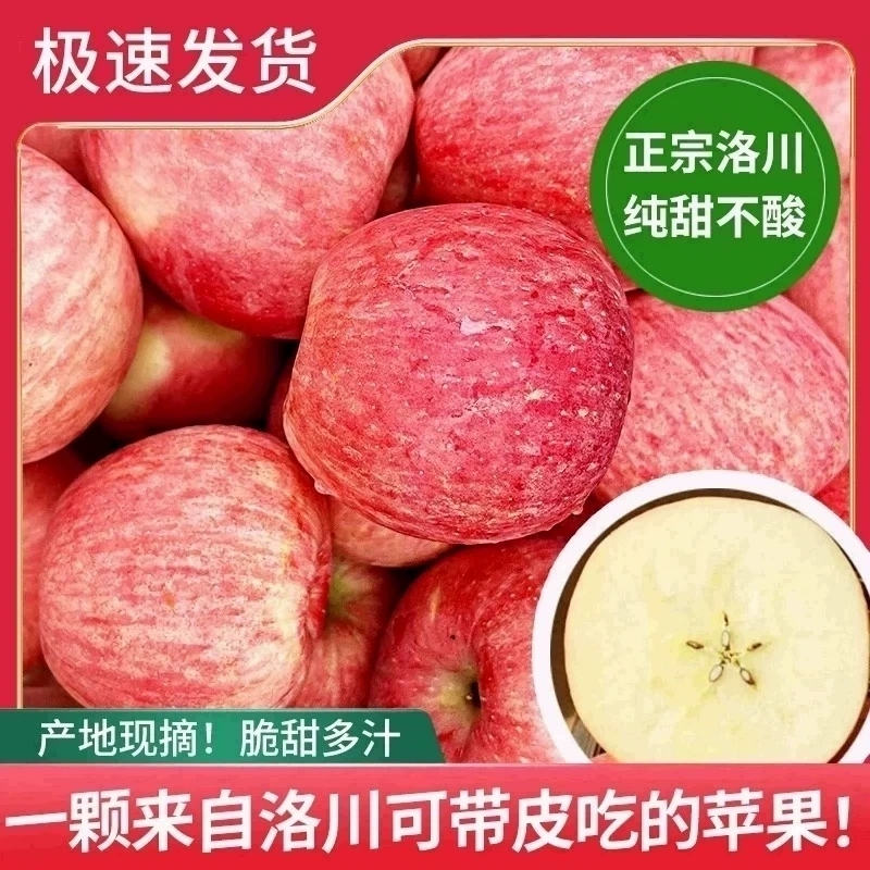 苹果陕西正宗洛川苹果水果当季脆甜整箱包邮新鲜10斤一级苹果5斤