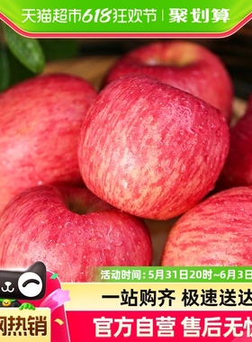 陕西洛川苹果丑苹果冰糖心苹果10斤装新鲜水果脆甜红富士顺丰包邮