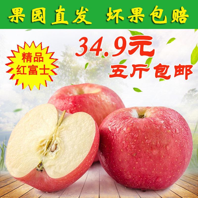 陕西洛川红富士苹果脆甜冰糖心黄心苹果当即新鲜水果5斤/10斤包邮