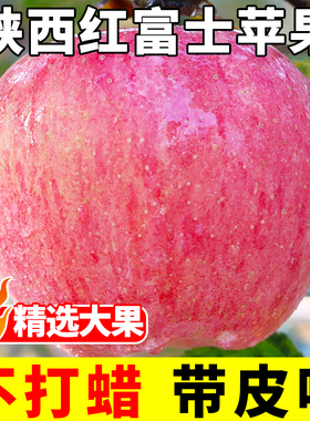 陕西红富士丑苹果水果新鲜脆甜平果当季整箱10小冰糖心批发包邮斤
