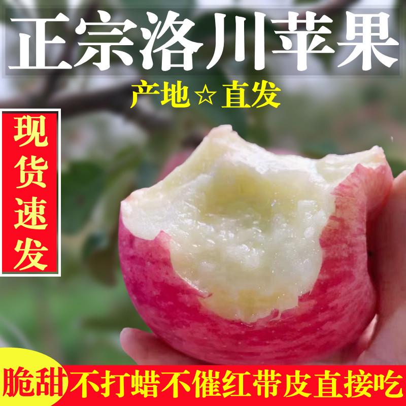 陕西洛川正宗红富士苹果新鲜糖心水果当季整箱特级脆甜10斤装包邮