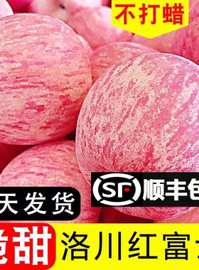 正宗陕西洛川苹果新鲜10斤脆甜红富士当季水果冰糖心整箱顺丰包邮
