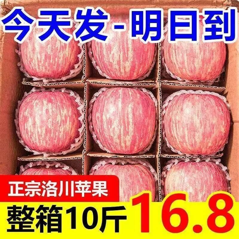 正宗陕西洛川苹果水果新鲜当季9斤红富士冰糖心一级脆甜10斤包邮
