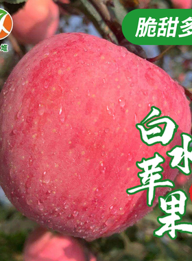 苹果水果新鲜陕西白水红富士苹果脆甜当季3斤5斤10包邮2021新果