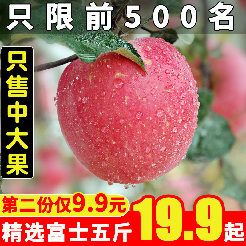 陕西延安高山农家新鲜水果带箱苹果脆甜多汁红富士5/10斤批发包邮