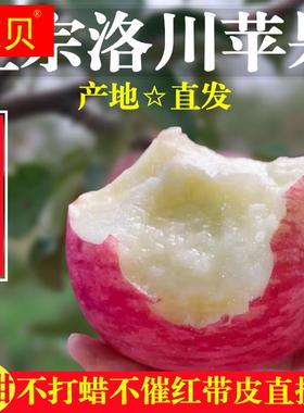 陕西洛川正宗红富士苹果新鲜糖心水果当季整箱特级脆甜10斤装包邮