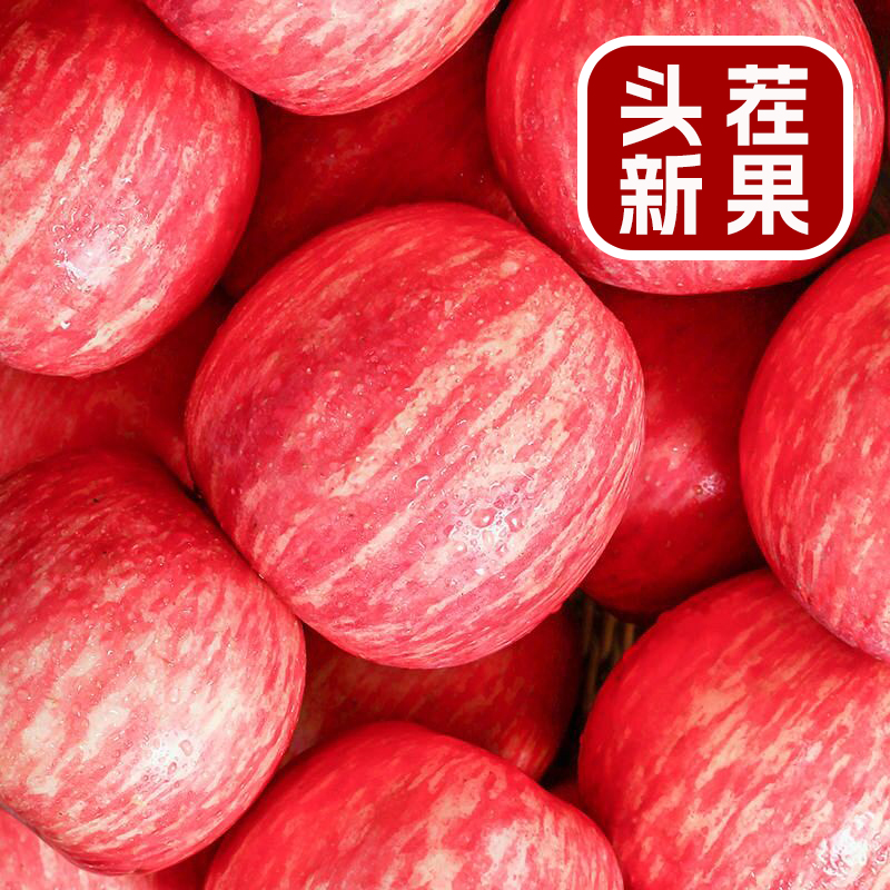 正宗陕西洛川苹果水果新鲜当季整箱红富士冰糖心脆甜现摘包邮10斤