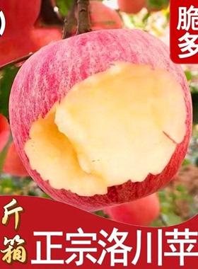 陕西洛川特级高原苹果红富士新鲜当季水果脆甜整箱精装10斤包邮