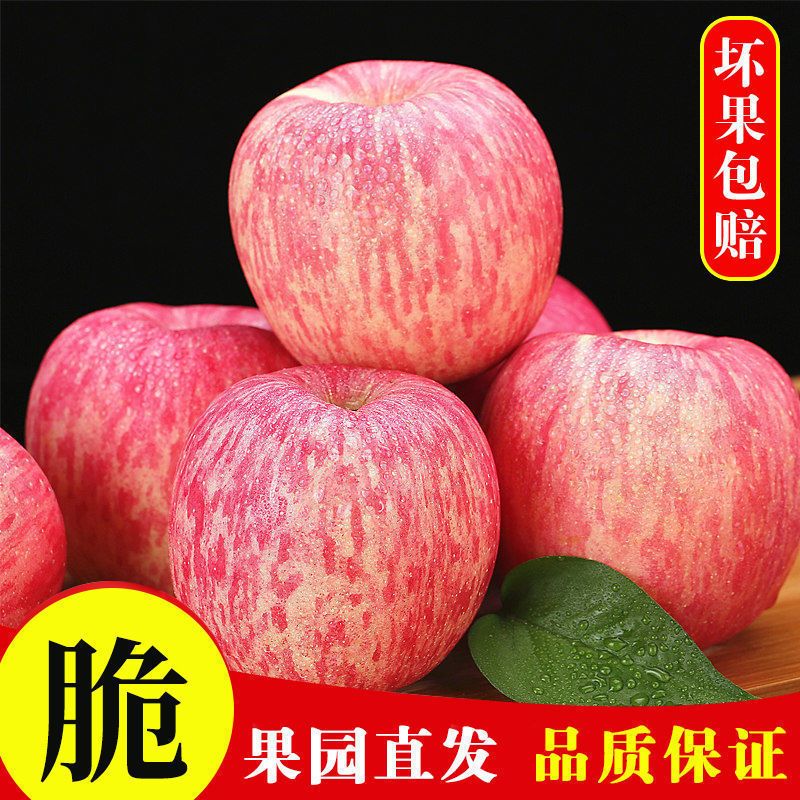 陕西高原红富士脆甜丑苹果3-10斤整箱当季应季新鲜水果直发包邮