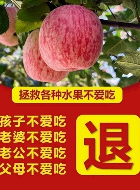 新侬人陕西延安洛川当季新鲜红富士苹果一级脆甜整箱10斤水果包邮