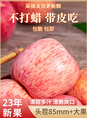 陕西红富士苹果水果新鲜整箱当季脆甜丑苹果整箱10斤小冰糖心包邮