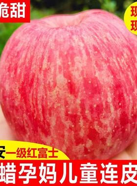 正宗陕西洛川苹果新鲜水果当季整箱红富士冰糖心一级脆甜10斤包邮