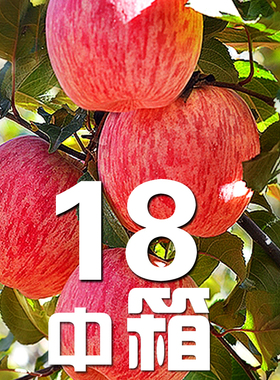 【纯好果种】陕西官方洛川苹果水果新鲜整箱10斤红富士脆甜心包邮