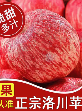 苹果新鲜水果洛川苹果陕西正宗脆甜红富士当季整箱应季梦10斤包邮