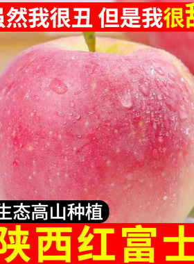 陕西红富士丑苹果非冰糖心膜袋富士水果新鲜当季脆甜10斤整箱包邮