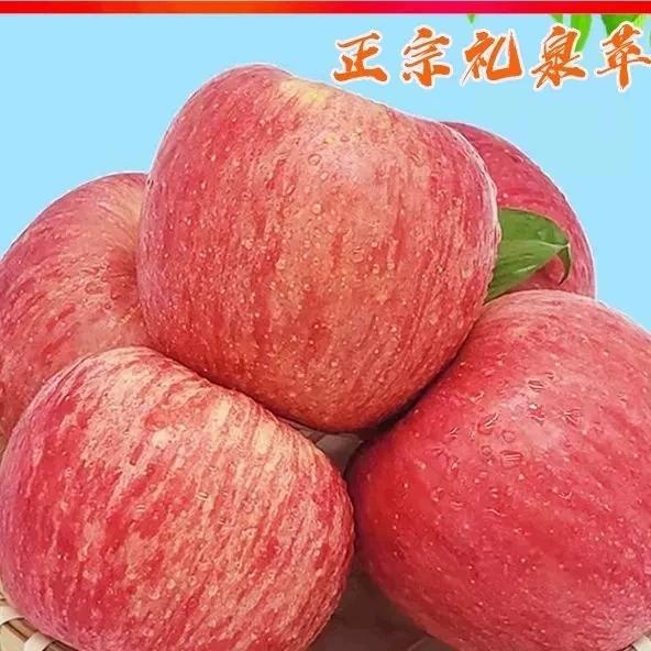 陕西礼泉特新鲜苹果水果10斤装正宗红富士脆甜冰糖心整箱同城包邮