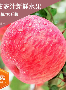 陕西铜川红富士苹果新鲜水果超市新鲜特级10斤脆甜多汁包邮