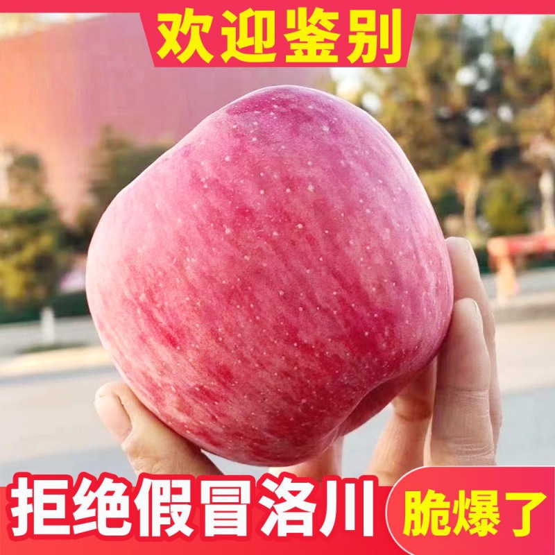 正宗陕西洛川红富士苹果当季新鲜水果冰糖心脆甜10斤整箱包邮尝鲜