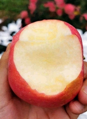 新果陕西红富士苹果水果新鲜当季10斤整箱脆甜苹果大果包邮