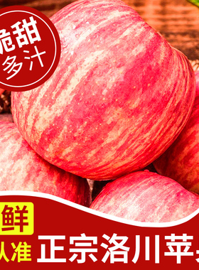正宗陕西洛川苹果水果新鲜当季整箱红富士冰糖心一级脆甜10包邮斤
