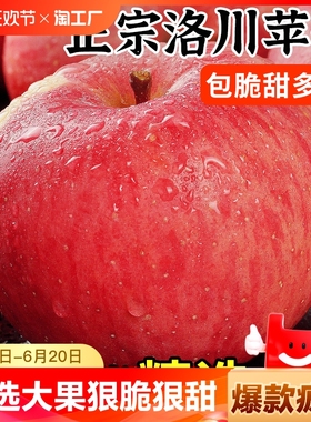 陕西洛川苹果水果正宗新鲜斤红富士冰糖心当季整箱一级10脆甜包邮