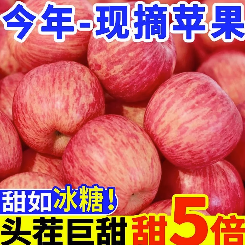 陕西洛川红富士苹果新鲜水果10斤装当季整箱大果脆甜冰糖心包邮