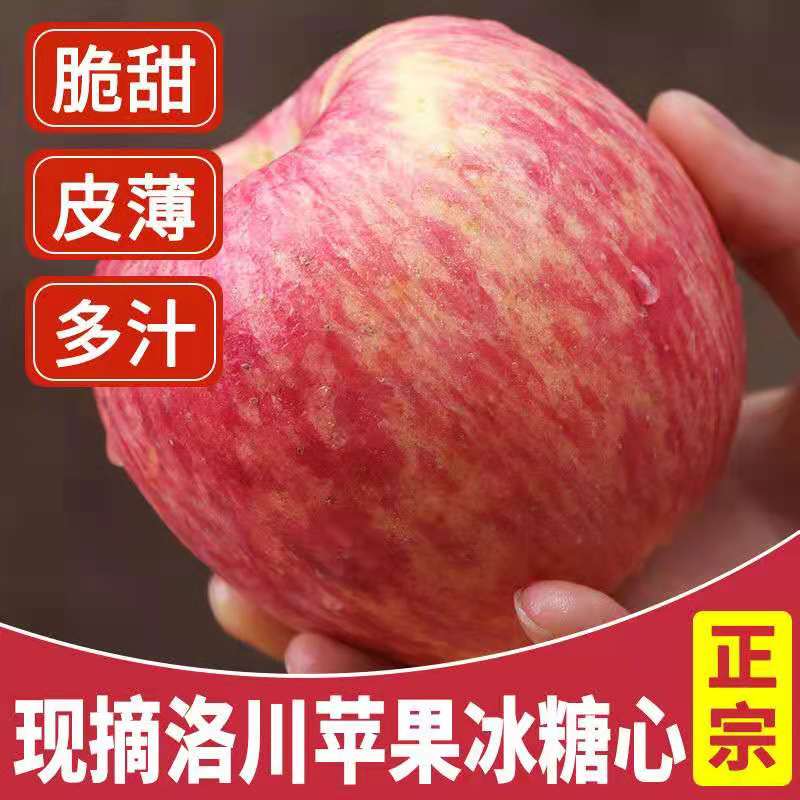 陕西正宗洛川红富士苹果10斤当季整箱脆甜新鲜水果萍果冰糖心包邮