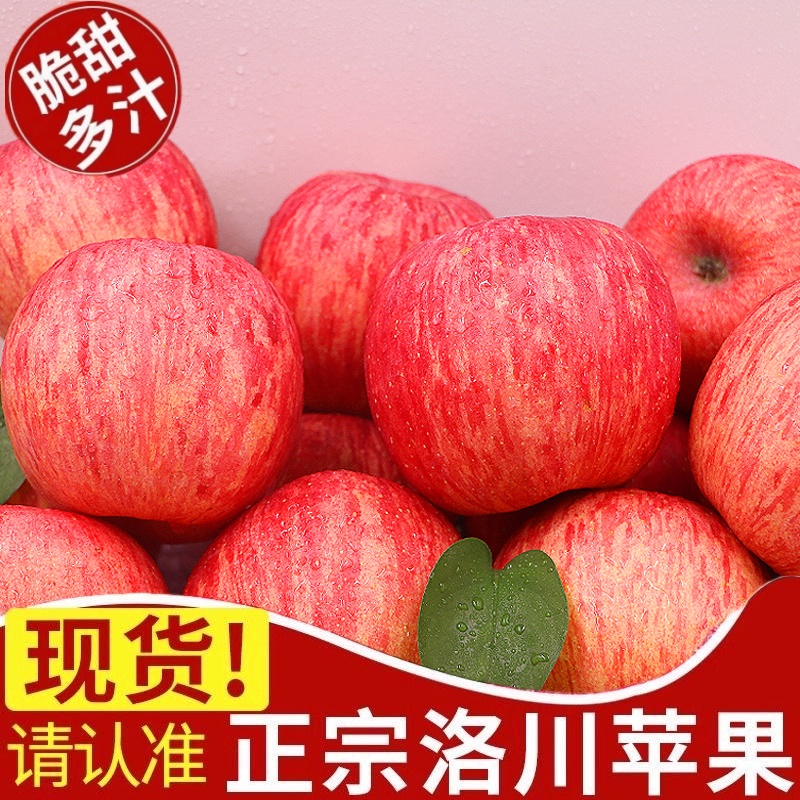 正宗陕西洛川苹果红富士新鲜当季现摘水果脆甜礼盒整箱10斤包邮