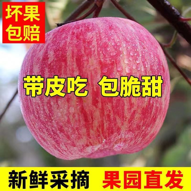 陕西洛川苹果水果新鲜10斤正宗当季红富士脆甜冰糖心整箱应季包邮