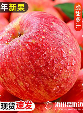 正宗洛川红富士苹果新鲜水果应季脆甜整箱10斤陕西当季冰糖心包邮