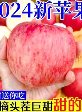 正宗陕西洛川苹果水果新鲜当季整箱一级红富士冰糖心脆甜10斤包邮