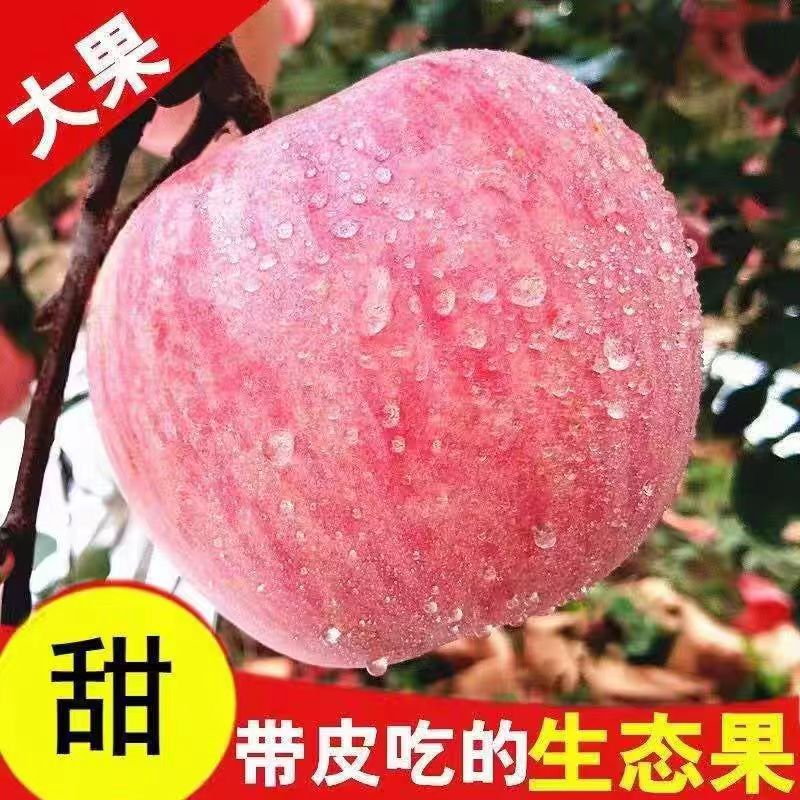 正宗陕西洛川苹果水果新鲜当季10斤红富士脆甜整箱应季冰糖心包邮