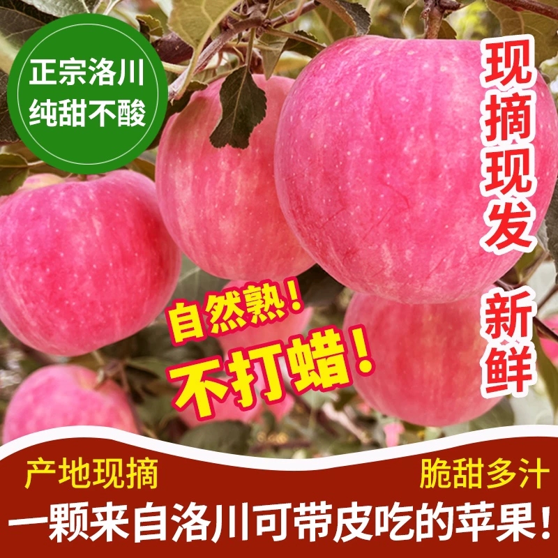 苹果陕西正宗洛川苹果水果当季脆甜整箱包邮新鲜10斤一级苹果5斤