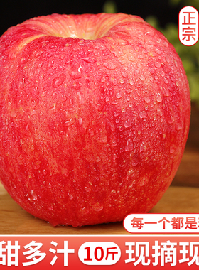 正宗陕西洛川红富士苹果10斤新鲜水果当季脆甜丑平果冰糖心包邮5