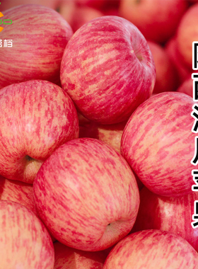 正宗陕西红富士洛川苹果水果新鲜延安平果10斤一级脆甜整箱包邮